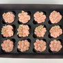 12x Deluxe Cupcakes