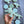 Dino Party Cookies