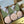100x Olive & Dusty Pink