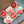 HMD Grandma Cookie Pack