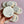 *Name* Baptism Cookies