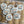 Printed Logo/Photo Cookies